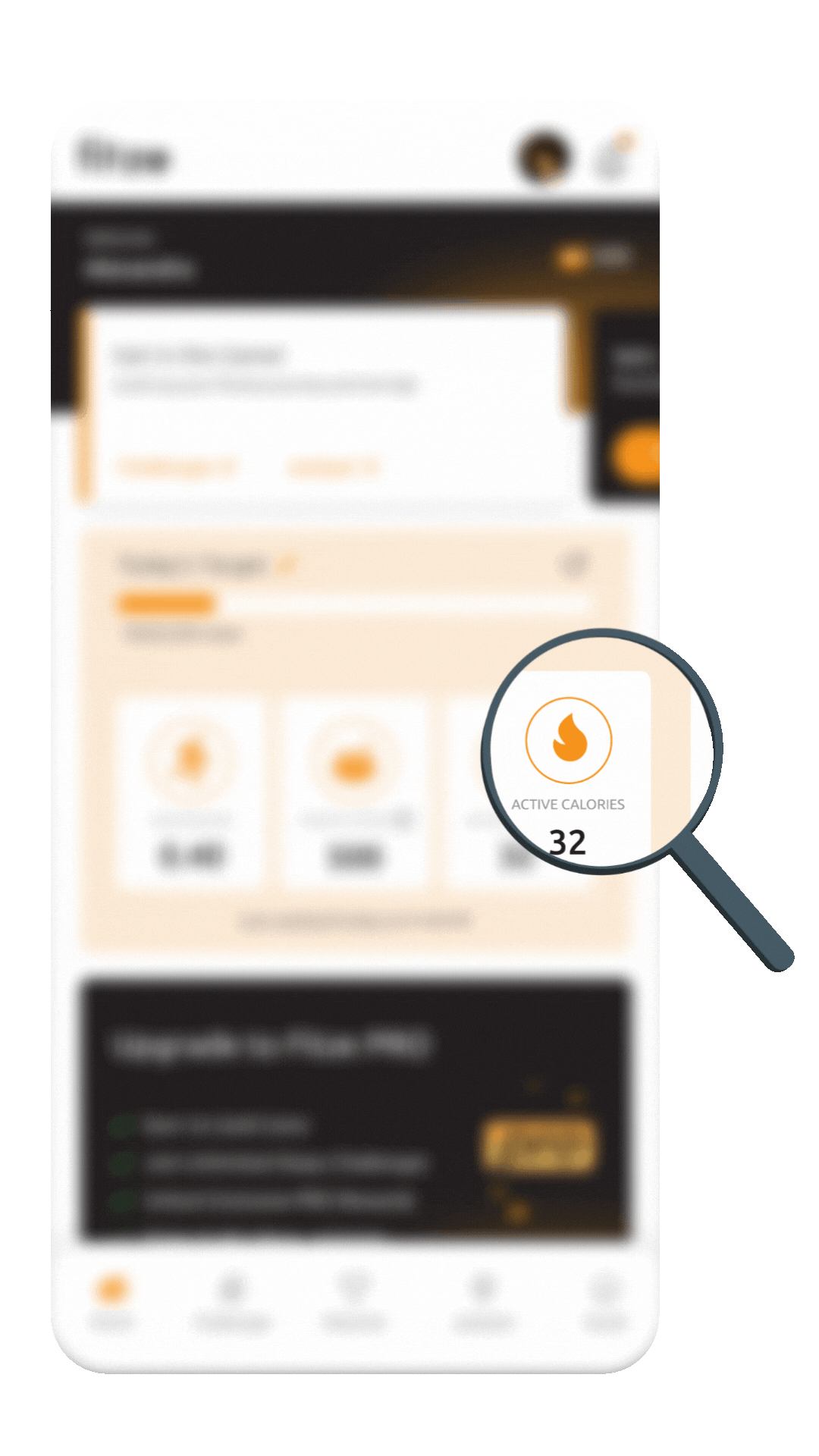 Quality & Optimization